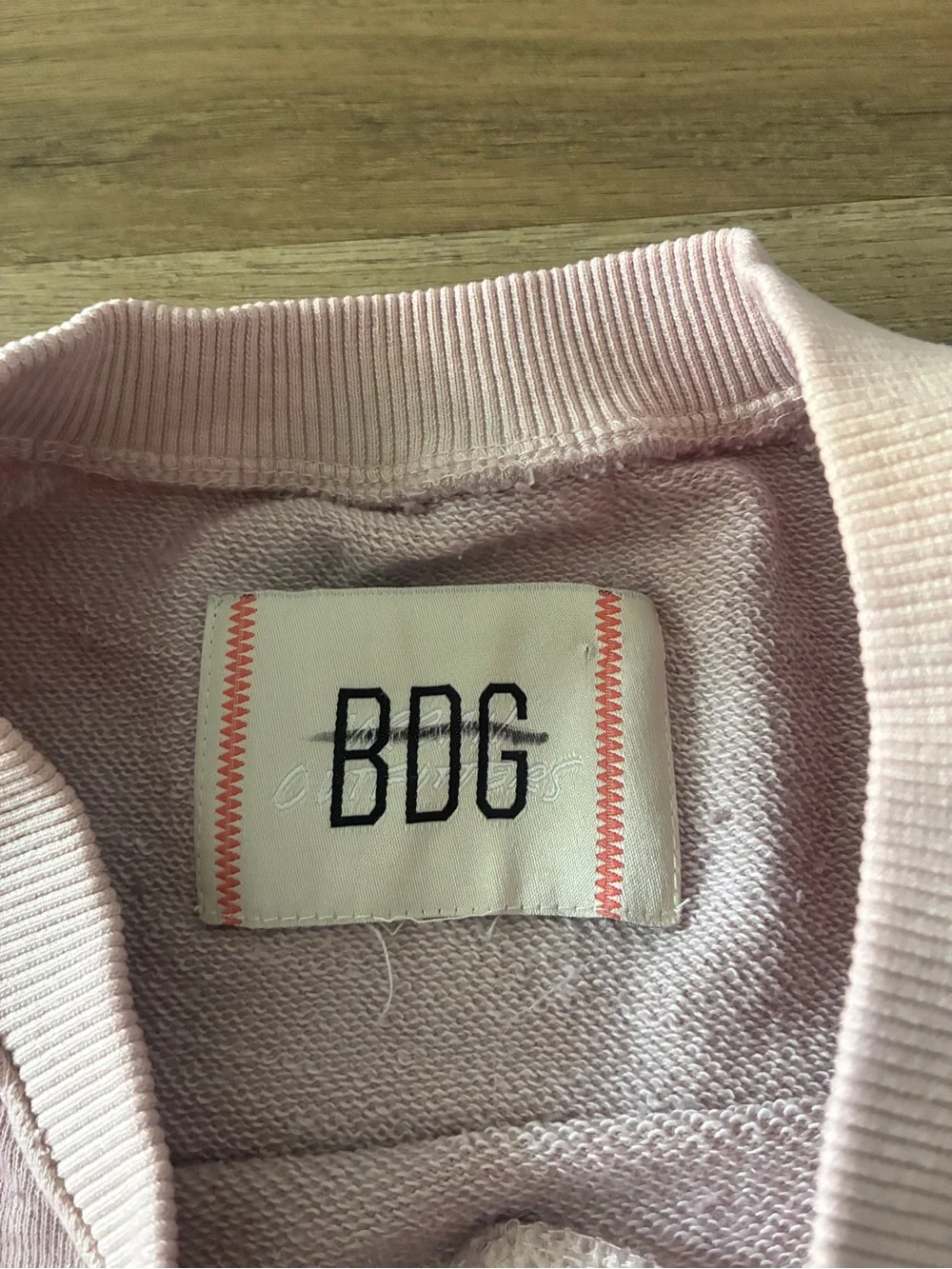 BDG El Paso Cropped Sweatshirt Tee Pink Scorpion Graphic NWOT Size XS/S